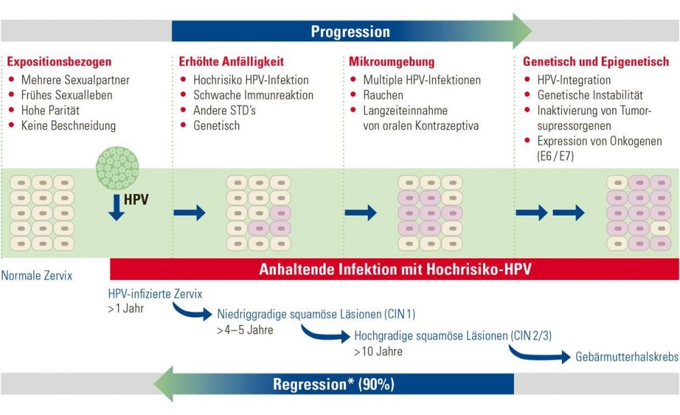 HPV und zytologisches Screening